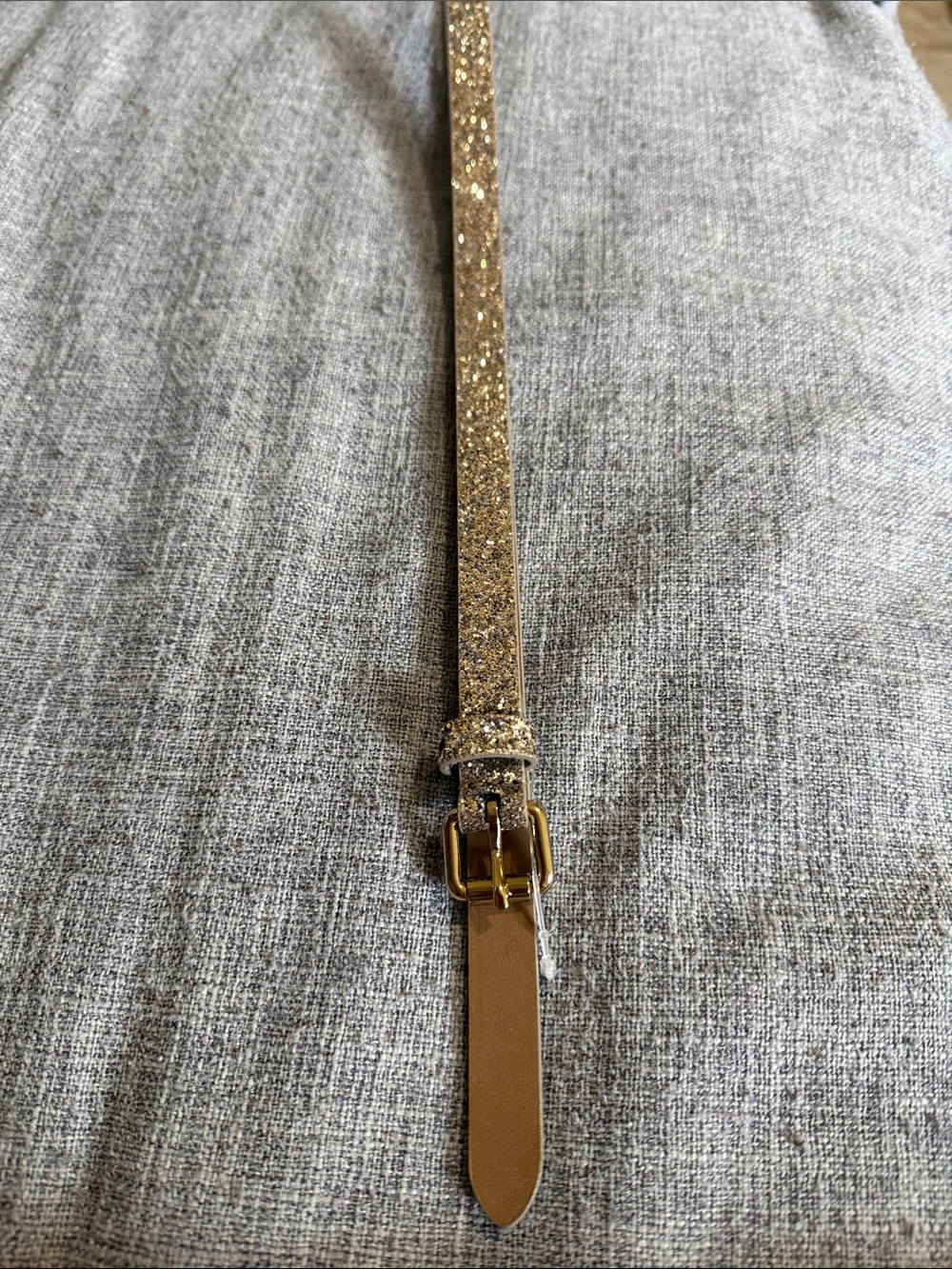 GAP Gold Glitter Skinny Belt with Tan Tip